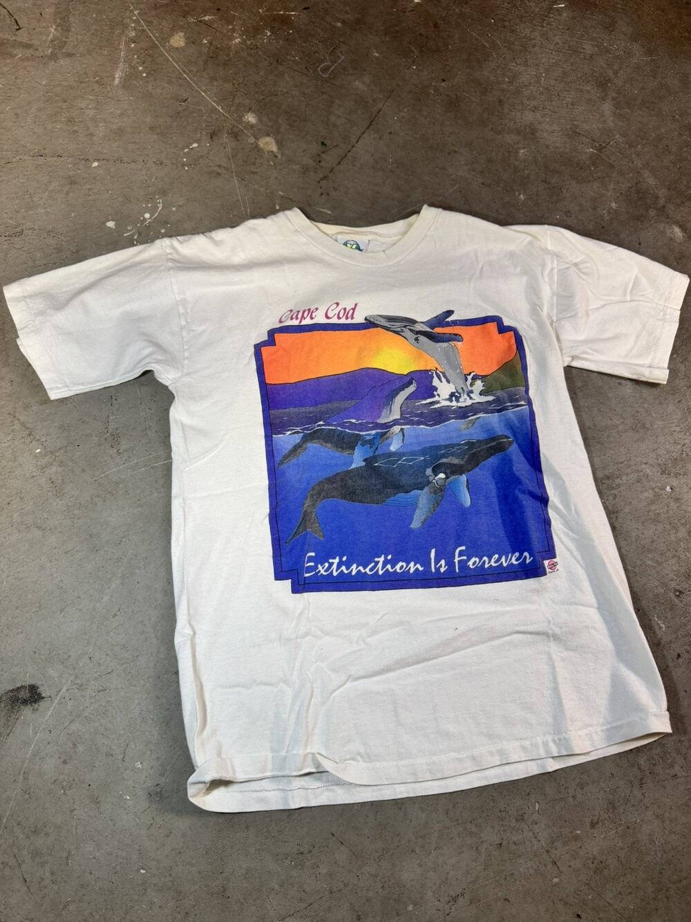 Vintage 90’s Extinction Is Forever Whales Lake George NY T Shirt Size L 🌎